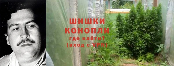 mdma Богородск